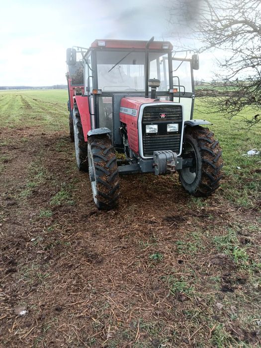 Massey Ferguson 385