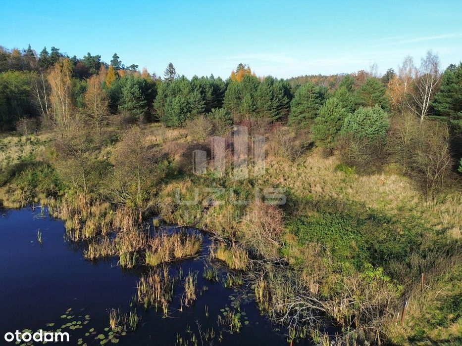 Działka 5000 m² | Widok na wodę | Las - View 5