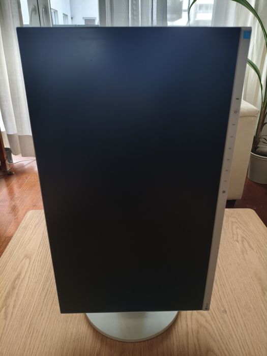 Monitor Eizo FlexScan EV2450