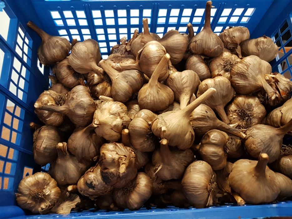 Czarny czosnek Stromiec 3zł Wysyłka gratis