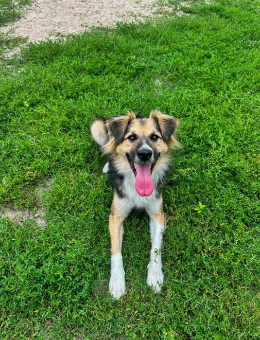 Cudny Mati szuka cudownej rodzinki