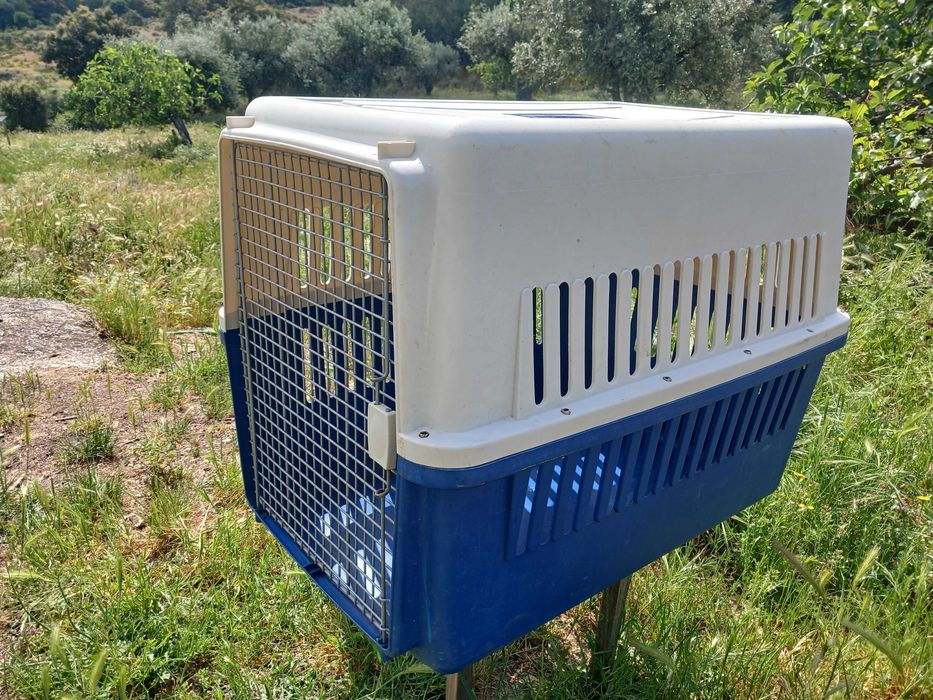Transportadora para cães - Dog's Travel Carrier
