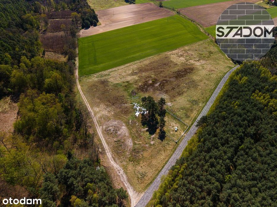 Działka Na Sprzedaż – Załęcze, Gm. Rawicz - Widok 2