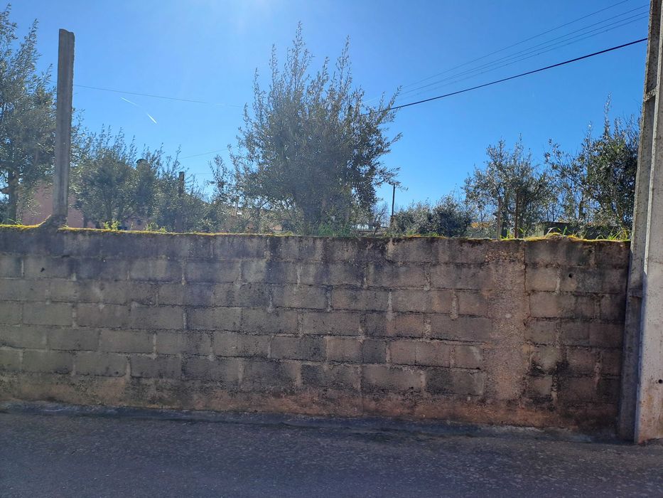 Dominguiso - terreno para construção