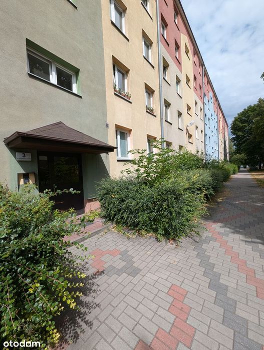 Przetarg ustny na lokal mieszkalny ul. M. Rodziewiczówny 3/9