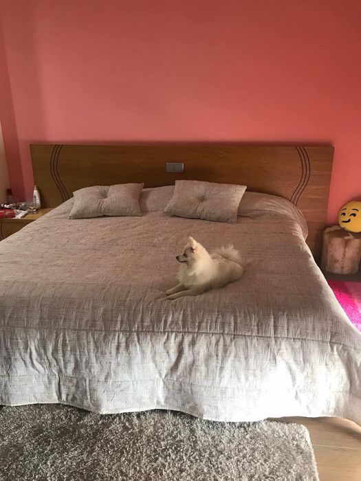 Cama de casal ou de solteiro