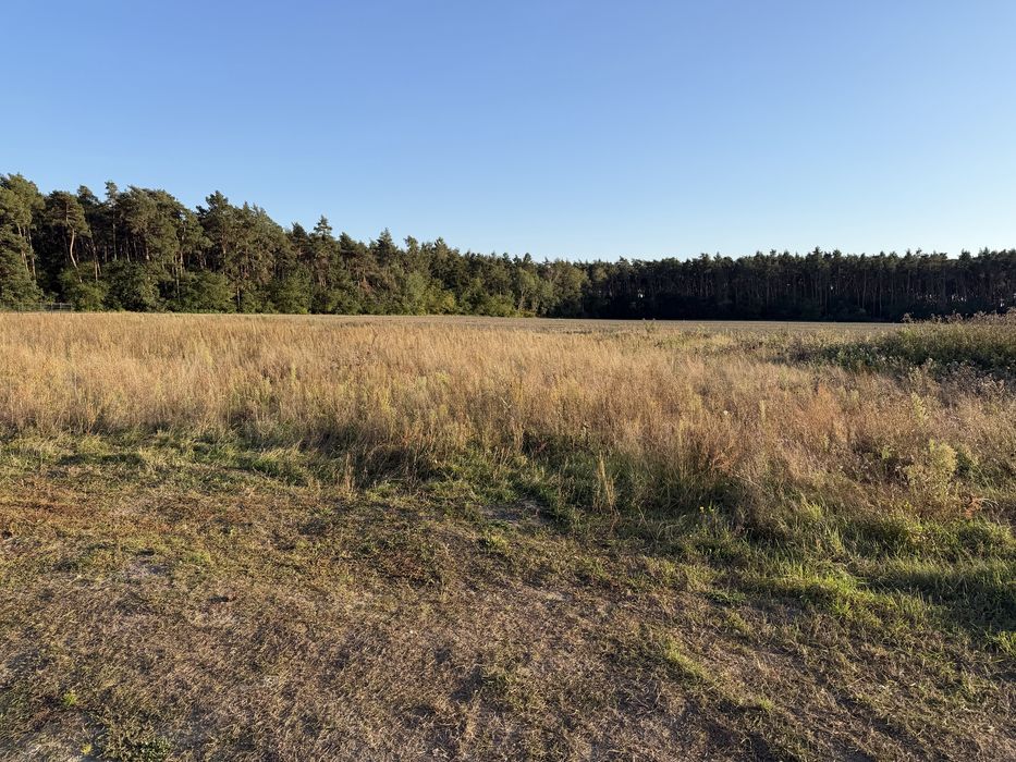Działka budowlana 770 m² w Betkowie – ul. Cisowa, blisko lasu