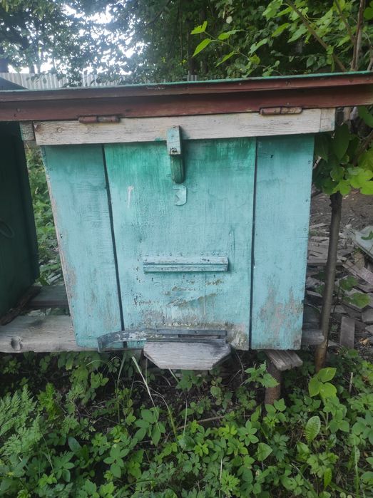 Продам вулики дадан