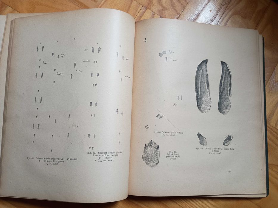 Książka Rok Myśliwego 1922 r. RARYTAS!