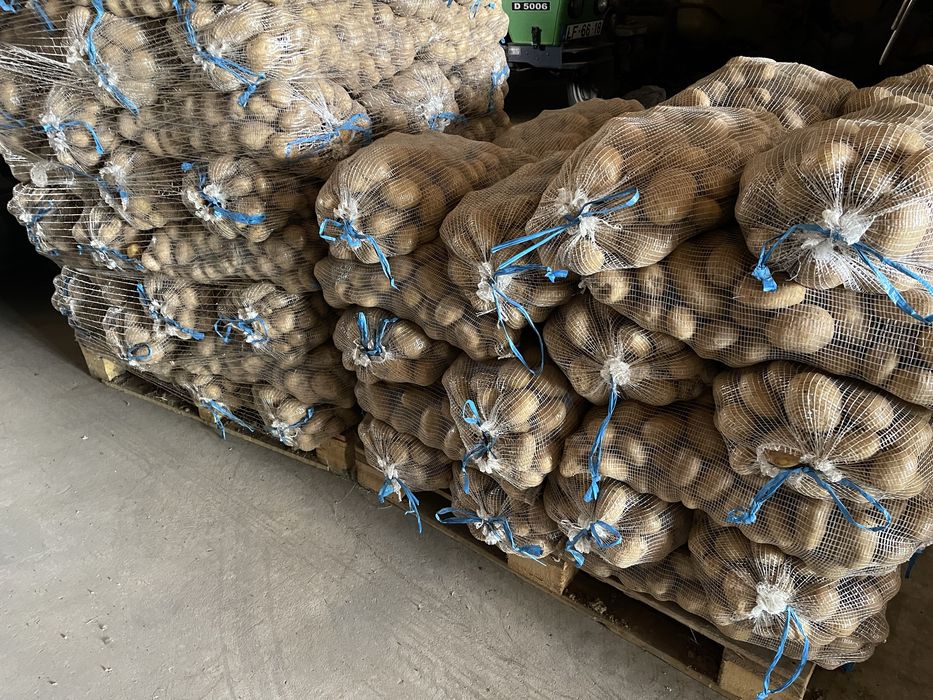Batata Agrea Nova 0,45€/kg + IVA | Olho de Perdiz Nova 0,39€/kg + IVA | Venda à Palete