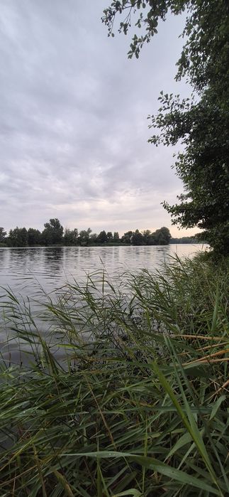 Działka z linią brzegową jeziora - WYNAJEM