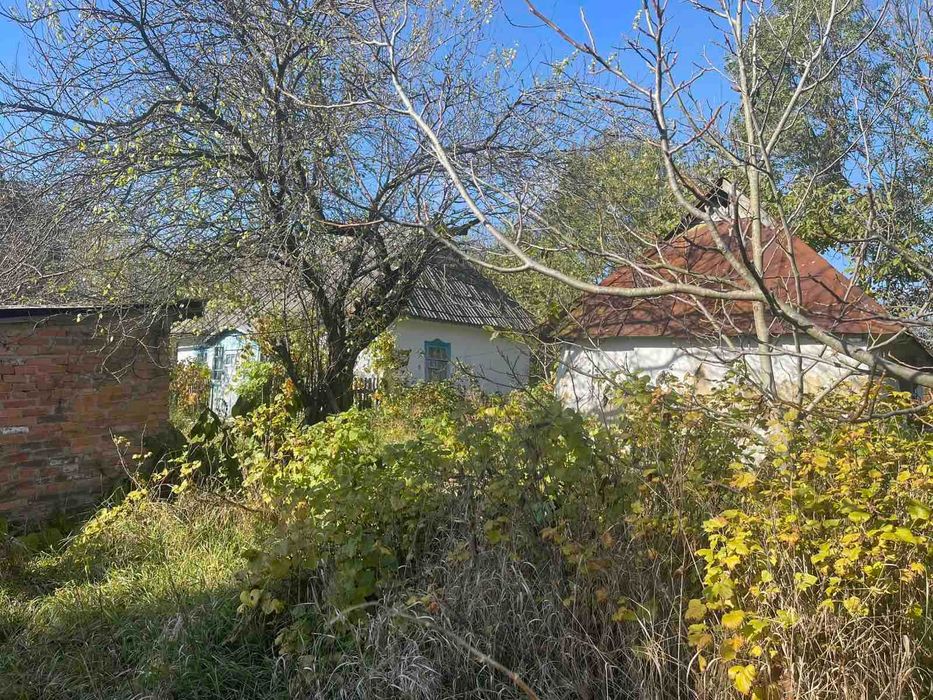 Продам будинок в с.Некрасово (Юзвин) з ділянкою 25 соток (9880)