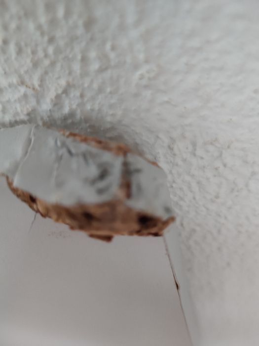 Placa/ tampo aglomerado