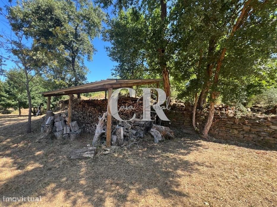 Casa de Pedra Renovada, Ruínas, Riacho, Poços e 15.570m2 de Terreno na