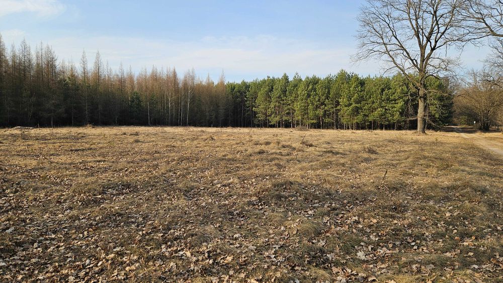 Działki budowlane