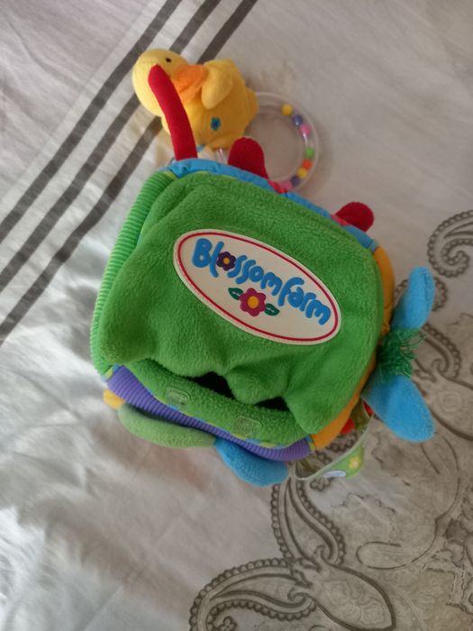 Бізікуб  бізікуб