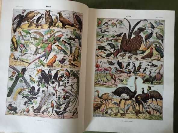 Enciclopédia saúde familiar e outras