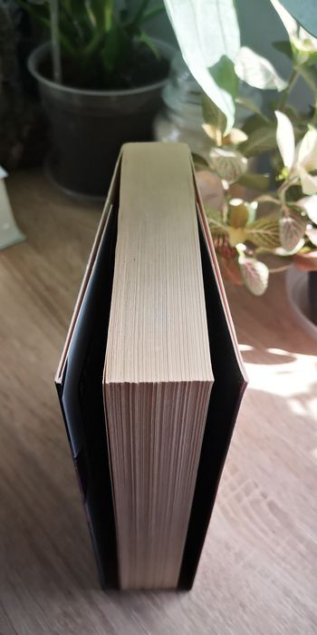 W otchłani Beth Revis