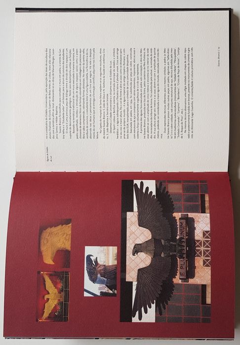 Soares Branco - livro novo