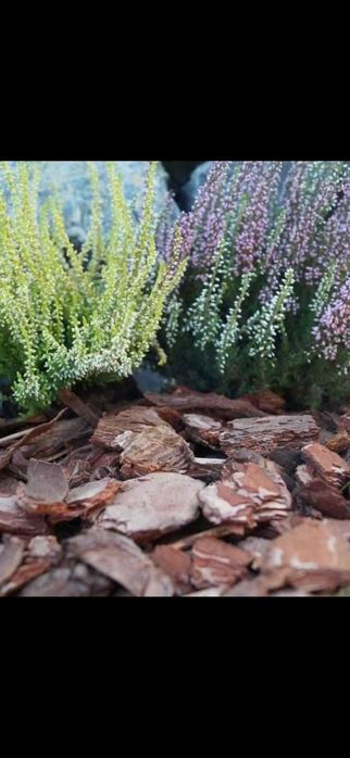 Kora ogrodowa 80l PROMOCJA