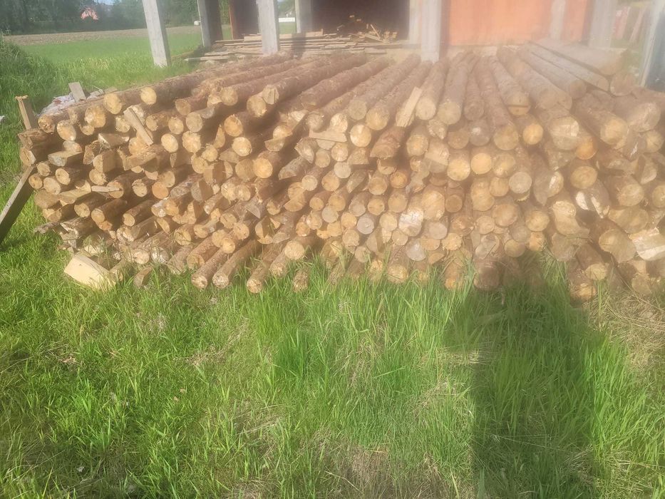 Sprzedam stęple.