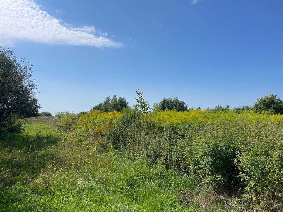 Продаж земельної ділянки під забудову, Конопниця, без комісії!