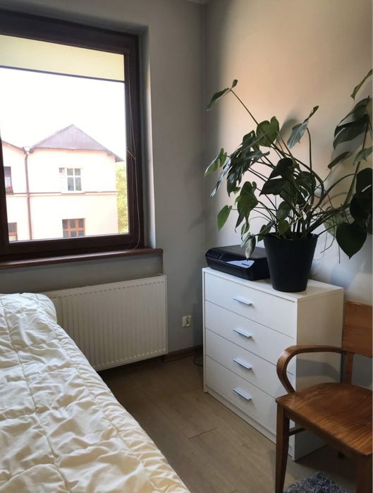 Pokój do wynajęcia, Zabrze centrum, ŚUM - Widok 5