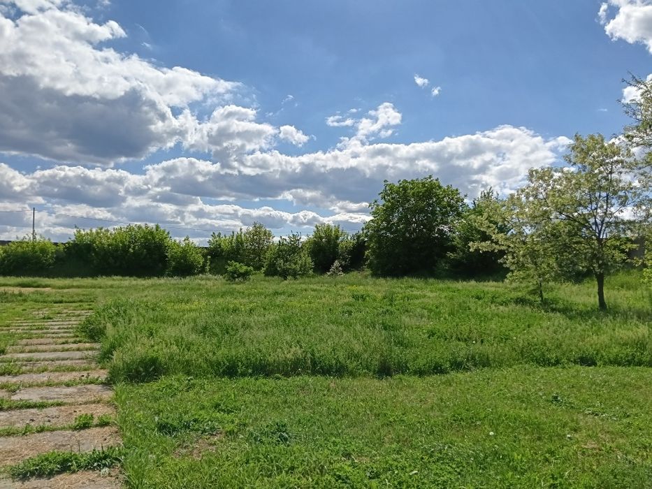 Безкоштовно, трава для сіна