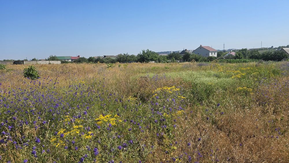 Продам земельну ділянку с. Соколівське