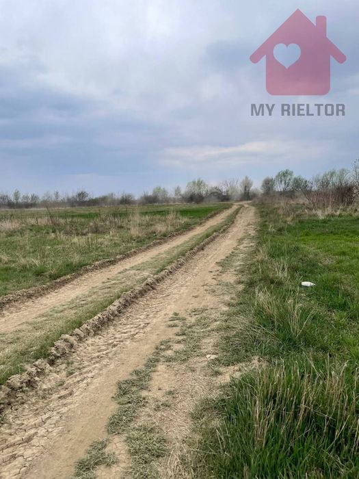 Продаж земельної ділянки в с. Сторожниця.