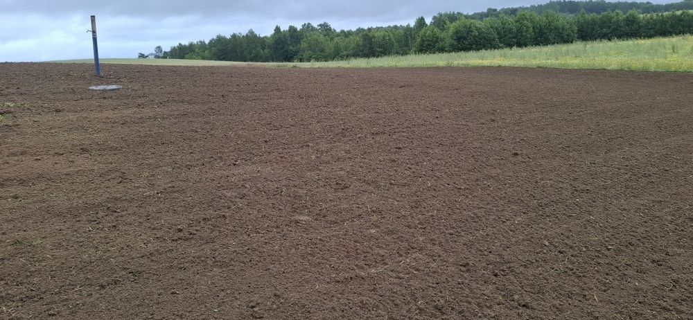 Usługi Ogrodnicze Zakładanie Trawników Wertykulacja
