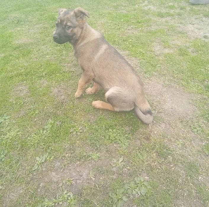 Дівчинка 11,місяців. КАСТРОВАНА!!!