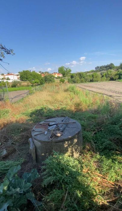 Limpeza de quintais , pequenos e médios terrenos agrícolas