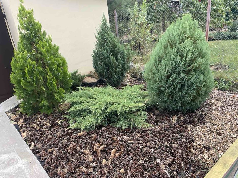 Дача с новым домом. Выход на реку и в лес Орловщина