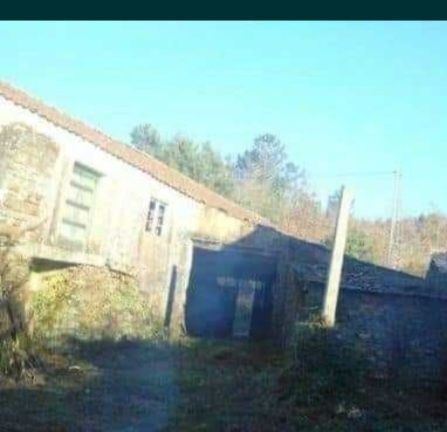 Terreno com árvores de fruto e oliveiras e ...