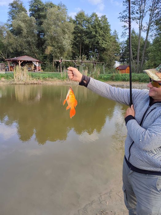 Działka na imprezę urodziny staw grill domek sauna balia ryby