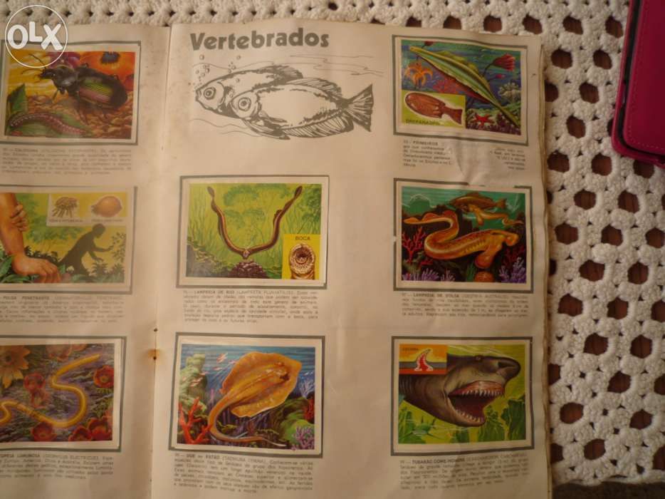 ÁLbum panorama zoológico