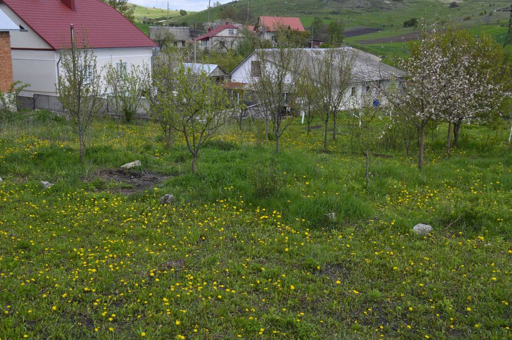 Продаж будинку 35км від Тернополя з гаражем, садом і ділянкою на 25стк