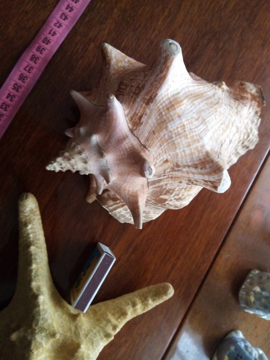 Продам у хорошому стані