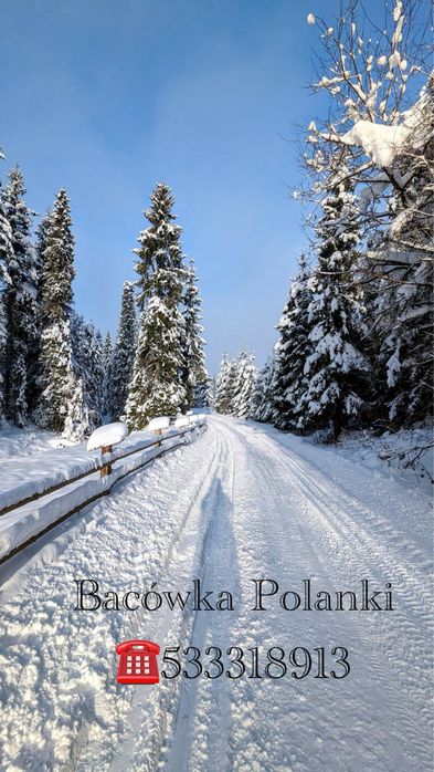 Domek z balią i kominkiem w lesie Podhale Gorce