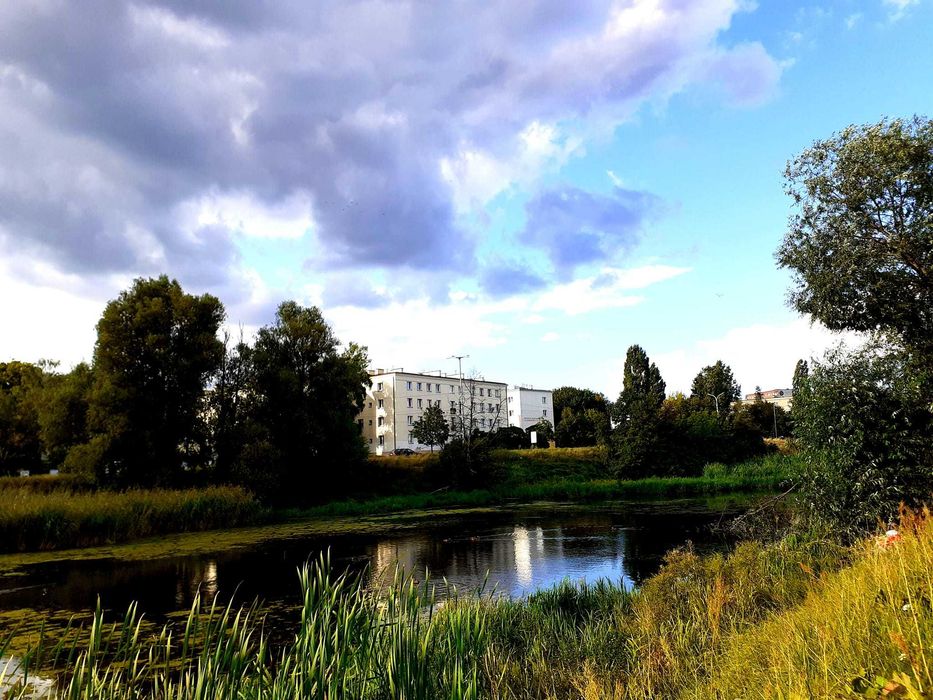 2 pokoje , blisko centrum Torunia