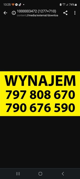 Dmuchaniec DMUCHAŃCE do wynajęcia  PROMOCYJNA cena!!