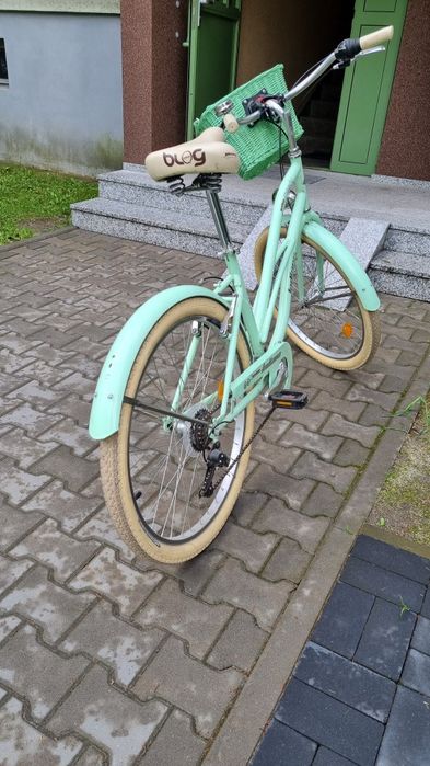 Rower miejsski Indiana cruiser moody