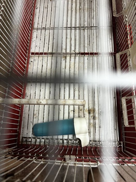 Gaiola para passaros