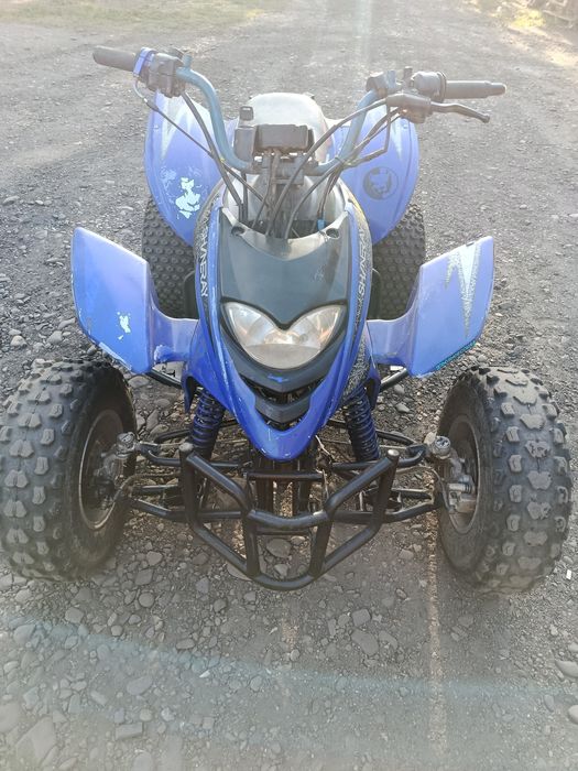 Квадрацикл Шанрей Shineray 250