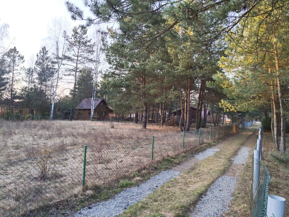 Zdjęcie 6