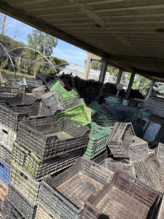 Caixas plástico OFEREÇO