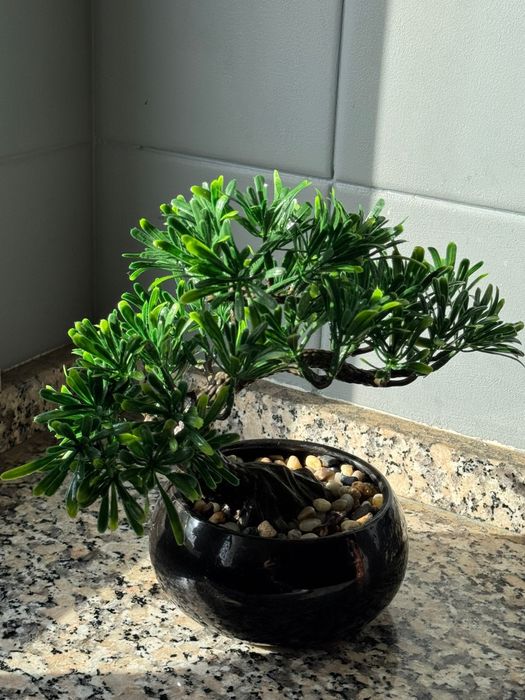 Bonsai Artificial Decorativo com Vaso Preto | 24 cm