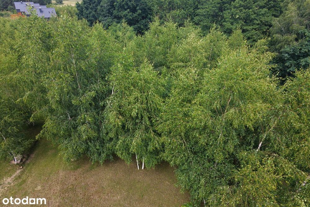 Działka 1147 m² pod dom – Piechowice, Kaszuby