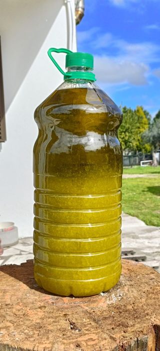 Azeite de produção caseira